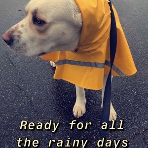 Meet your Posher, Lizeth